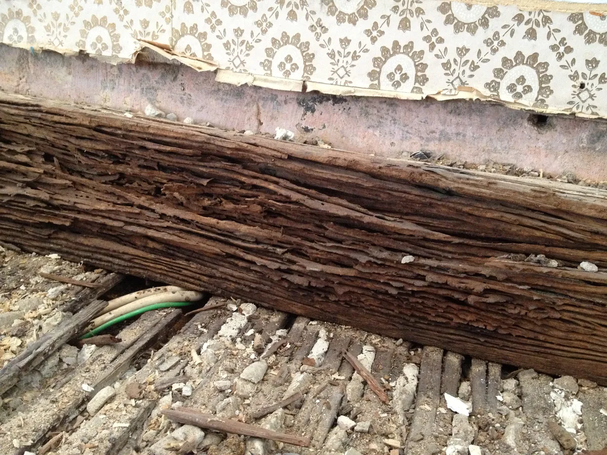 Damaged timber requiring assessment and repair